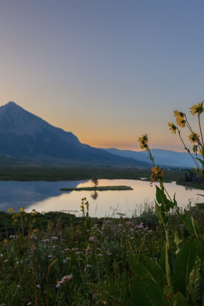 Peanut Lake Crested Butte Land Trust Wedding Venue sunrise with wildflowers