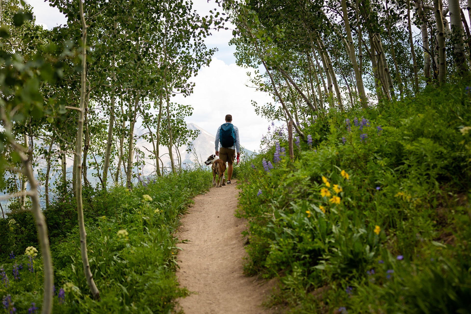 https://mountainmagicmedia.com/wp-content/uploads/2023/07/Crested-Butte-photographer-Gunnison-photographers-Colorado-photography-proposal-engagement-elopement-wedding-venue-boudoir-photo-by-Mountain-Magic-Media-20.jpg