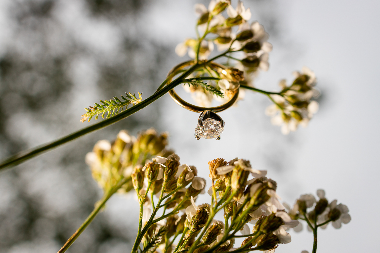 Woods Walk Downtown CB Elk Avenue Prime Purple Mountain Bed and Breakfast Lodge Elk Ave Soupçon Crested Butte photographer Gunnison photographers Colorado photography - proposal engagement elopement wedding venue - photo by Mountain Magic Media