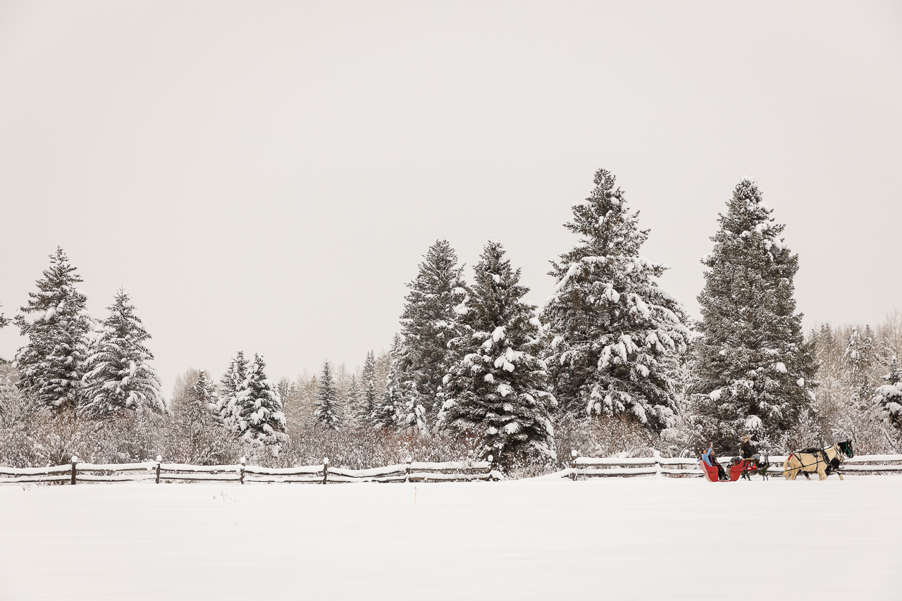 Aspen Carriage and Sleigh snowy Aspen, CO surprise proposal sleigh ride winter blue coat engagement diamond ring Crested Butte photographer Gunnison photographers Colorado photography - proposal engagement elopement wedding venue - photo by Mountain Magic Media