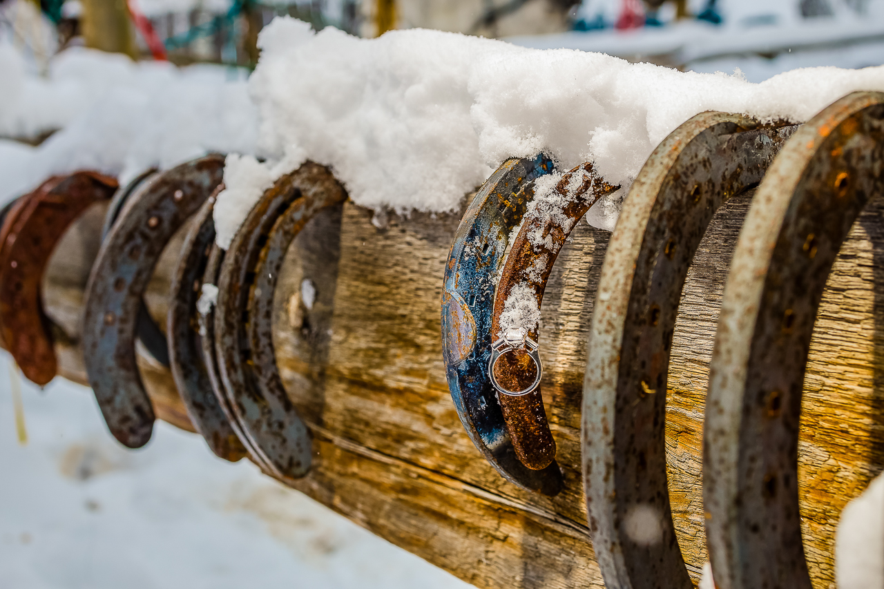 Aspen Carriage and Sleigh snowy Aspen, CO surprise proposal sleigh ride winter blue coat engagement diamond ring Crested Butte photographer Gunnison photographers Colorado photography - proposal engagement elopement wedding venue - photo by Mountain Magic Media