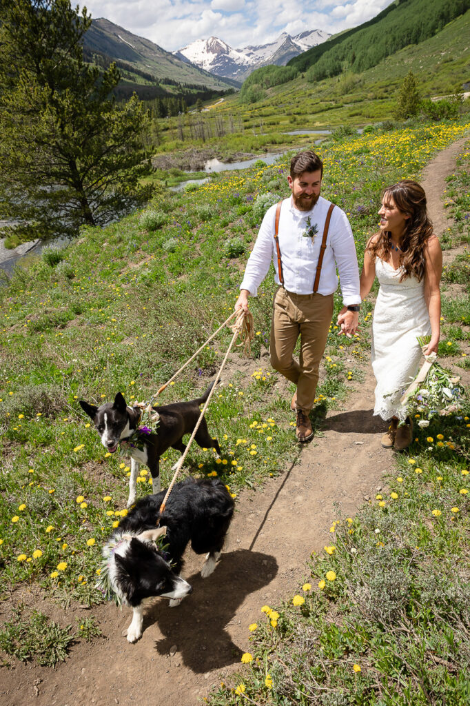 couple holding hands with dogs on leash walking scenic mountain view background newlyweds small wedding Crested Butte photographer Gunnison photographers Colorado photography - proposal engagement elopement wedding venue - photo by Mountain Magic Media