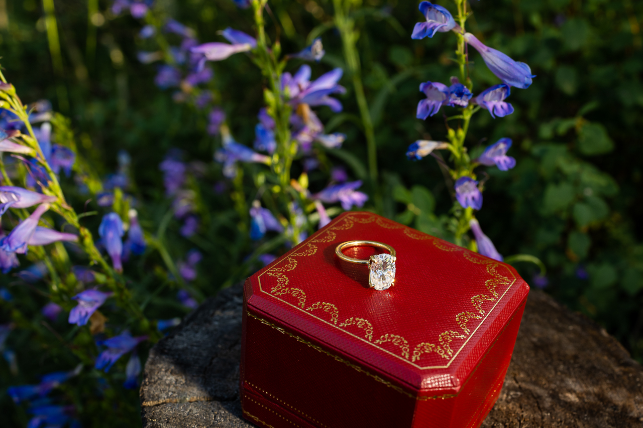 sunrise Woods Walk engaged Crested Butte photographer Gunnison photographers Colorado photography - proposal engagement elopement wedding venue - photo by Mountain Magic Media