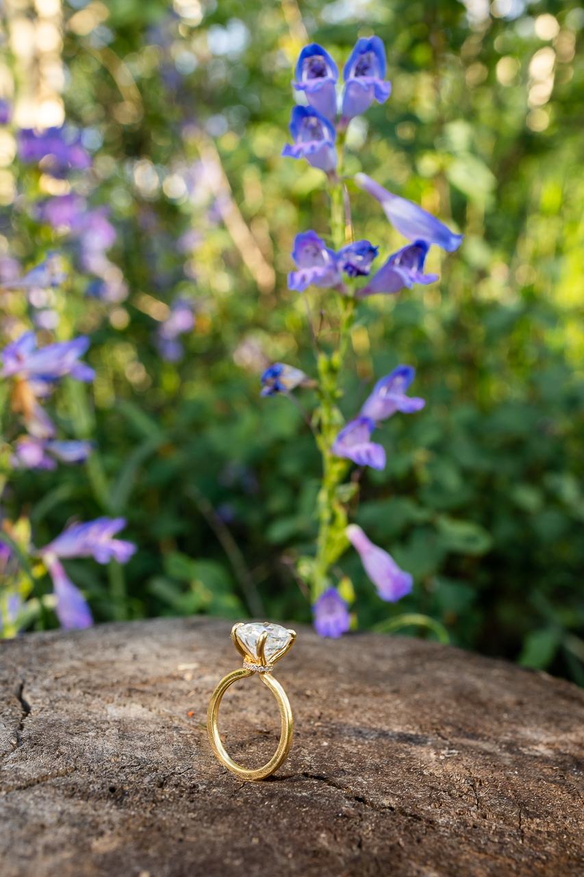 https://mountainmagicmedia.com/wp-content/uploads/2023/07/Crested-Butte-photographer-Gunnison-photographers-Colorado-photography-proposal-engagement-elopement-wedding-venue-photo-by-Mountain-Magic-Media-1724.jpg