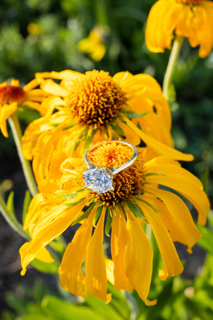 surprise proposal sunflower engagement ring Crested Butte photographer Gunnison photographers Colorado photography - proposal engagement elopement wedding venue - photo by Mountain Magic Media