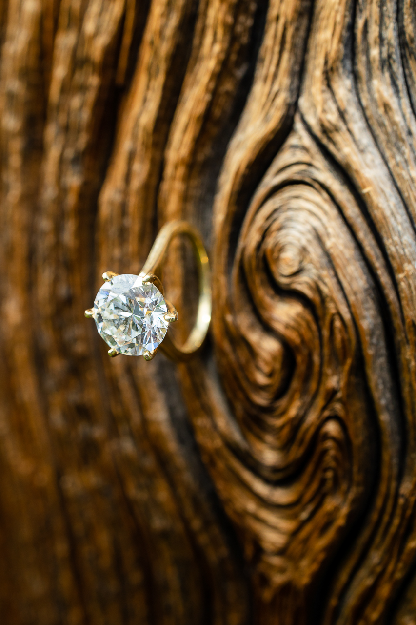 Washington Gulch wildflowers engagement session wildflower festival Crested Butte photographer Gunnison photographers Colorado photography - proposal engagement elopement wedding venue - photo by Mountain Magic Media