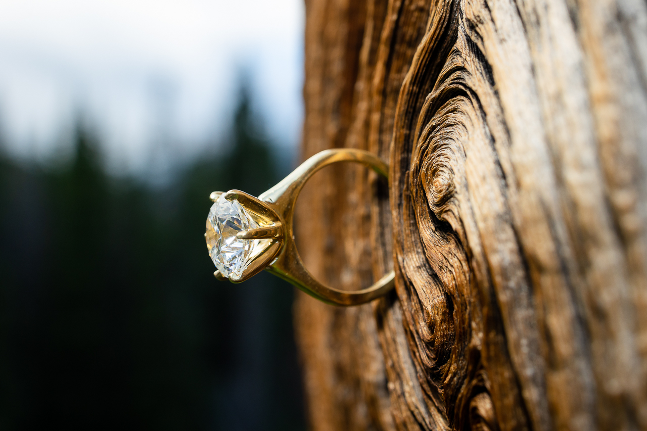 Washington Gulch wildflowers engagement session wildflower festival Crested Butte photographer Gunnison photographers Colorado photography - proposal engagement elopement wedding venue - photo by Mountain Magic Media