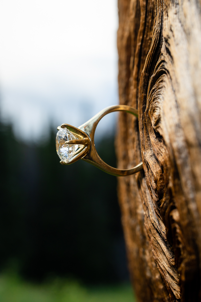 Washington Gulch wildflowers engagement session wildflower festival Crested Butte photographer Gunnison photographers Colorado photography - proposal engagement elopement wedding venue - photo by Mountain Magic Media