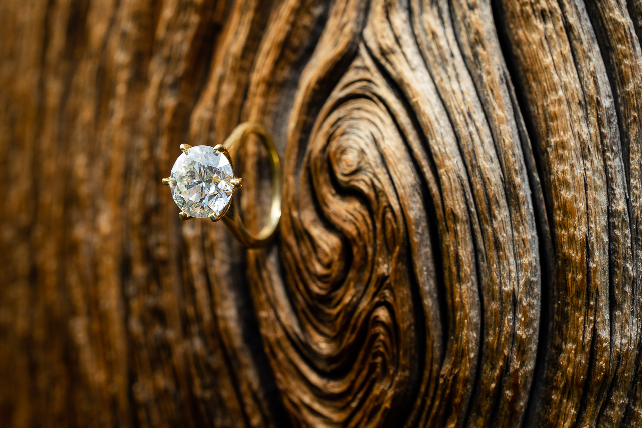 Washington Gulch wildflowers engagement session wildflower festival Crested Butte photographer Gunnison photographers Colorado photography - proposal engagement elopement wedding venue - photo by Mountain Magic Media