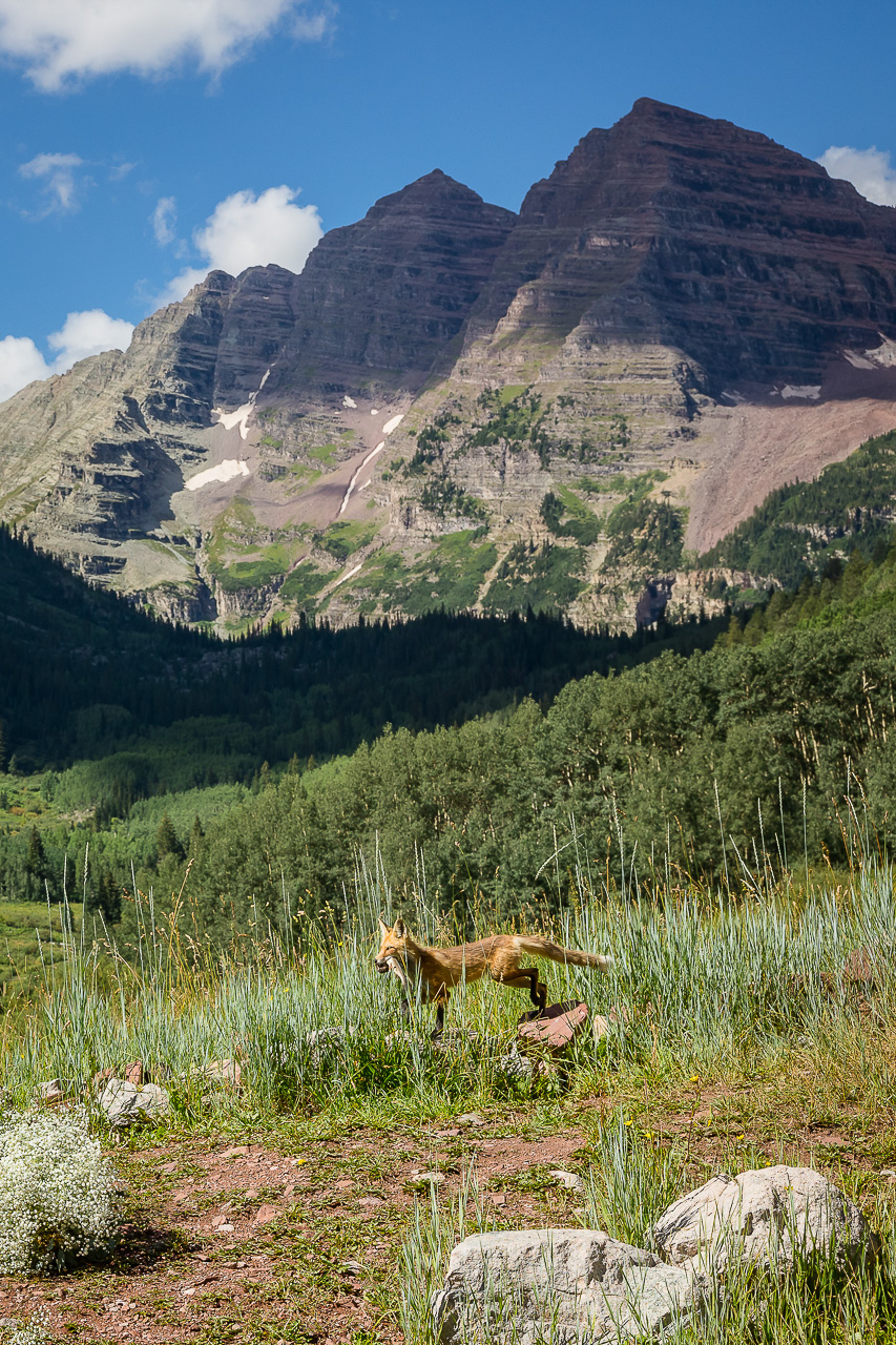 Aspen Maroon Bells view adventure instead vow of the wild outlovers vows newlyweds couple Crested Butte photographer Gunnison photographers Colorado photography - proposal engagement elopement wedding venue - photo by Mountain Magic Media