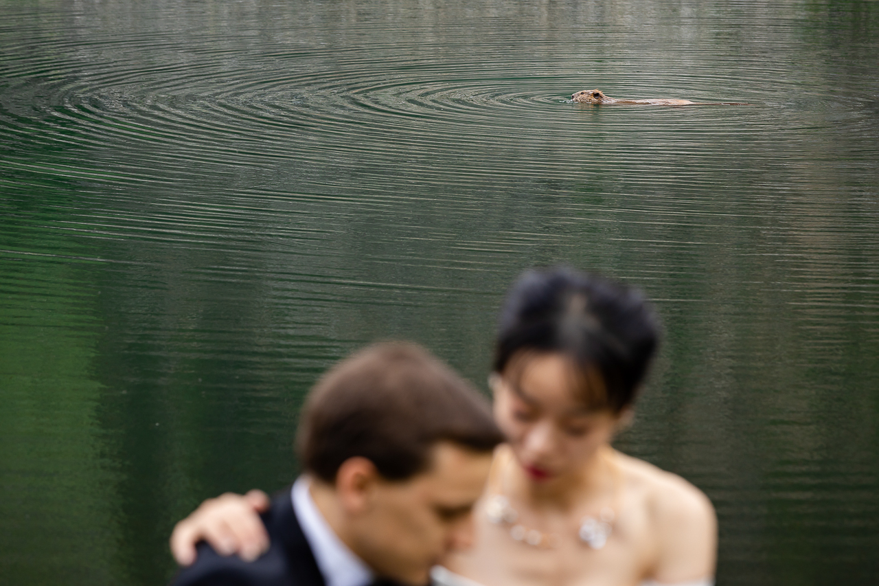 https://mountainmagicmedia.com/wp-content/uploads/2023/07/Crested-Butte-photographer-Gunnison-photographers-Colorado-photography-proposal-engagement-elopement-wedding-venue-photo-by-Mountain-Magic-Media-2084.jpg