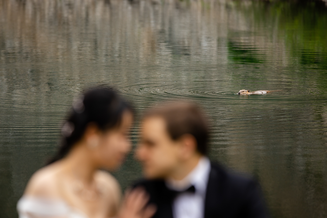 https://mountainmagicmedia.com/wp-content/uploads/2023/07/Crested-Butte-photographer-Gunnison-photographers-Colorado-photography-proposal-engagement-elopement-wedding-venue-photo-by-Mountain-Magic-Media-2086.jpg