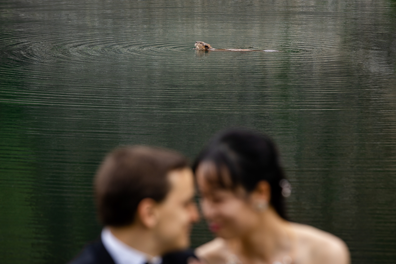 https://mountainmagicmedia.com/wp-content/uploads/2023/07/Crested-Butte-photographer-Gunnison-photographers-Colorado-photography-proposal-engagement-elopement-wedding-venue-photo-by-Mountain-Magic-Media-2090.jpg