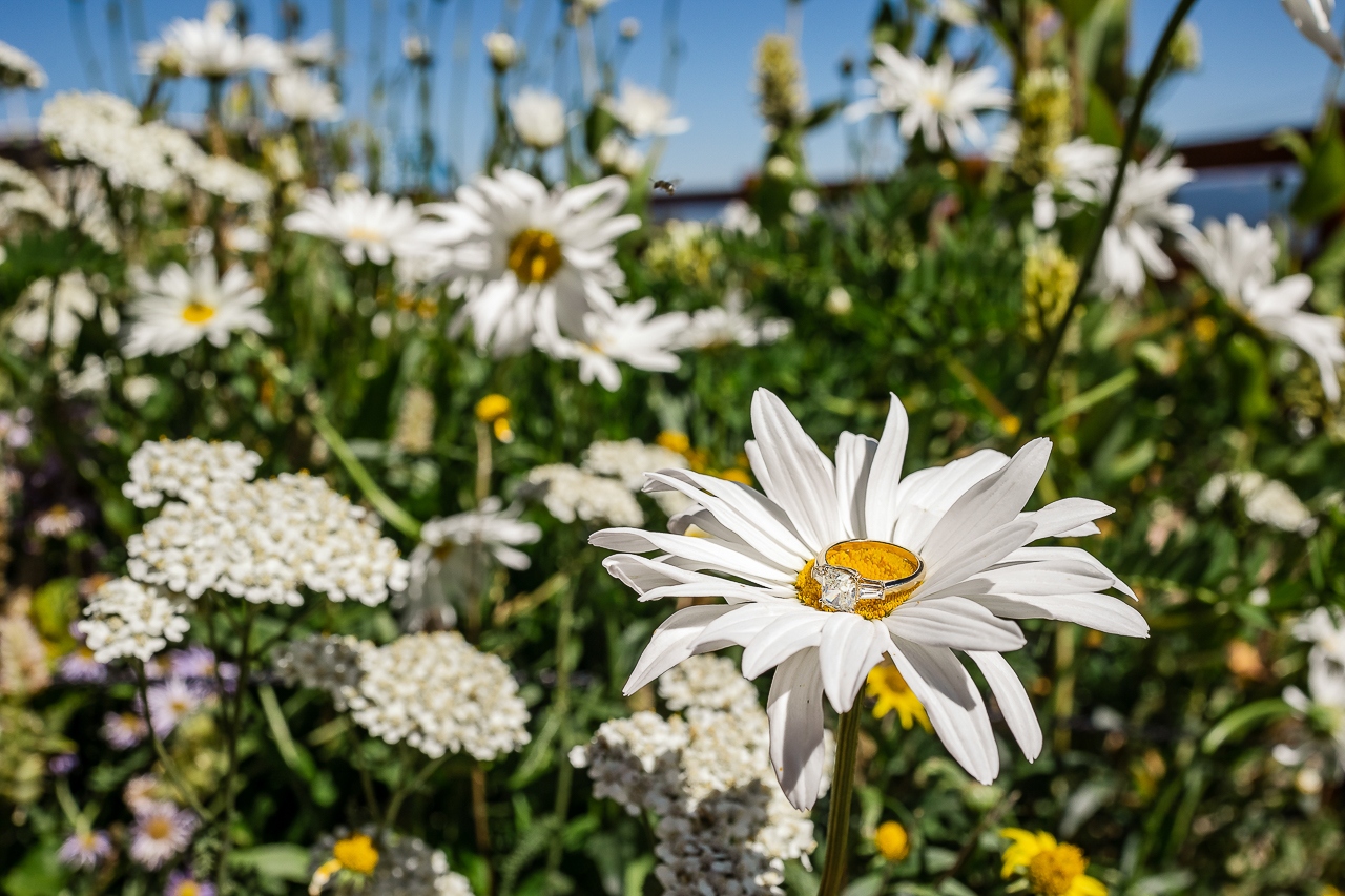 https://mountainmagicmedia.com/wp-content/uploads/2023/07/Crested-Butte-photographer-Gunnison-photographers-Colorado-photography-proposal-engagement-elopement-wedding-venue-photo-by-Mountain-Magic-Media-2188.jpg