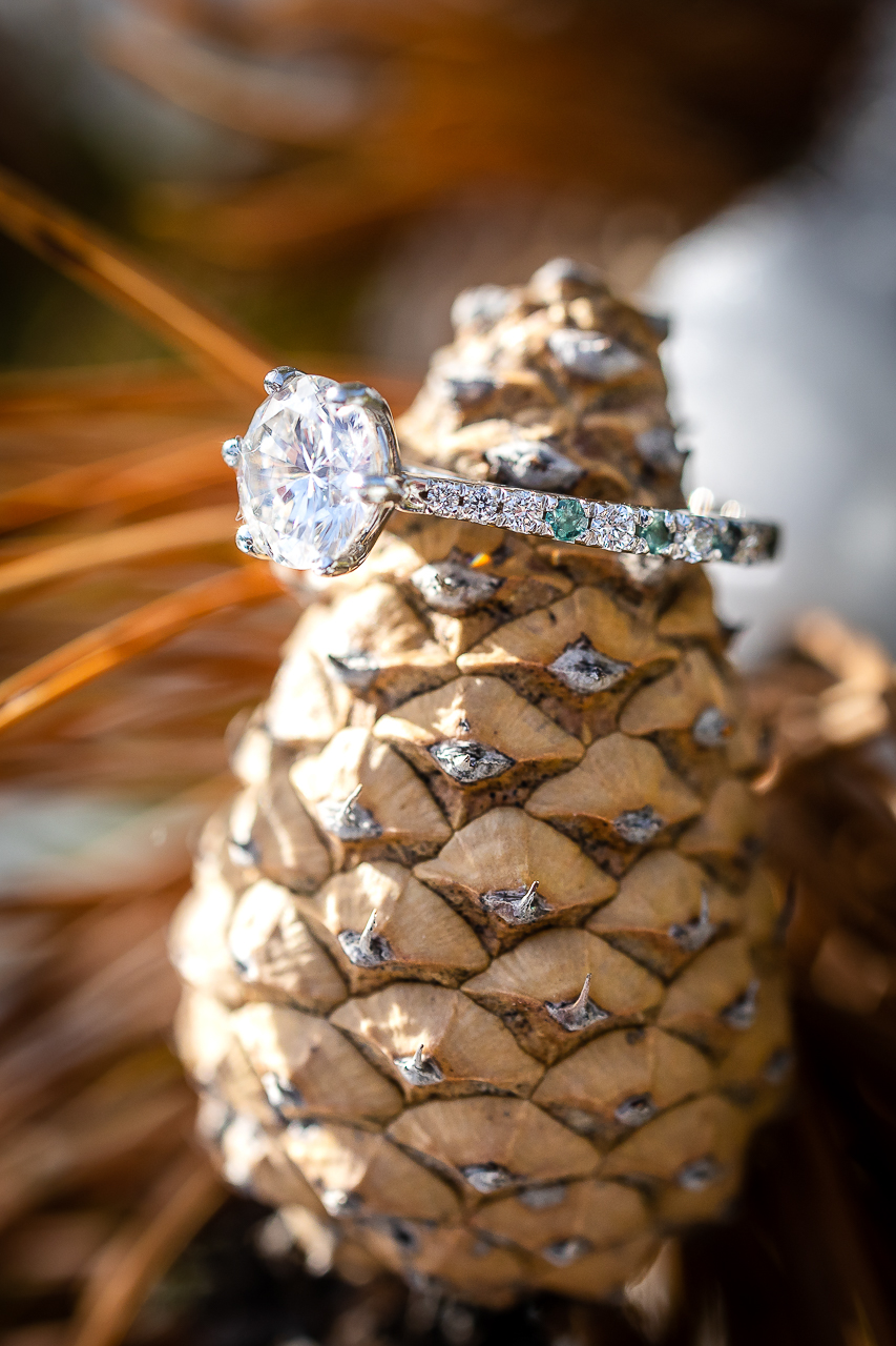 pinecone close up of engagement ring snowy winter excitement surprise proposal on one knee mountains background Crested Butte photographer Gunnison photographers Colorado photography - proposal engagement elopement wedding venue - photo by Mountain Magic Media