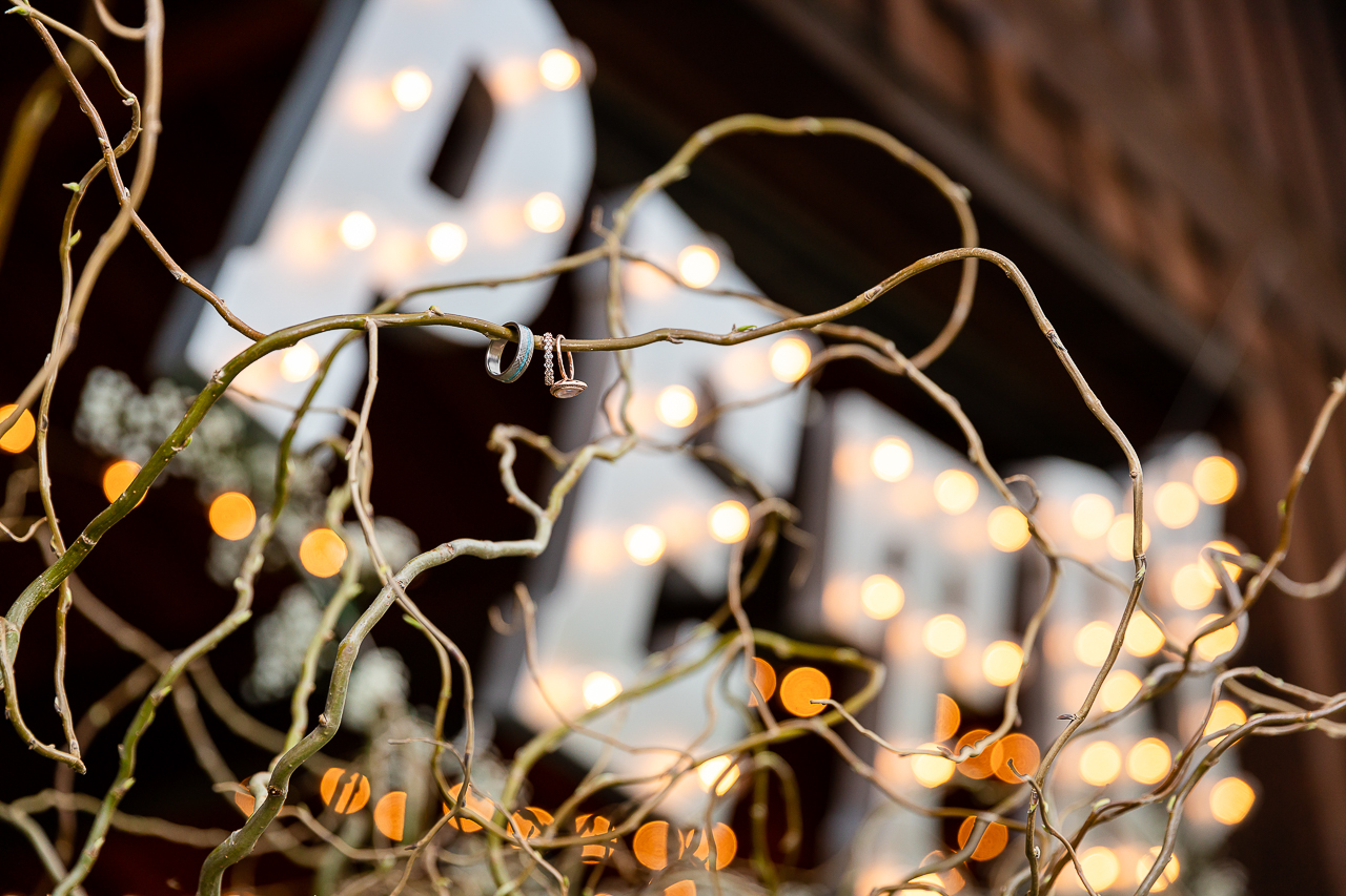 holy smokes blue wedding dress custom florals Crested Butte weddings planner planning photographer Gunnison photographers Colorado photography - proposal engagement elopement wedding venue - photo by Mountain Magic Media