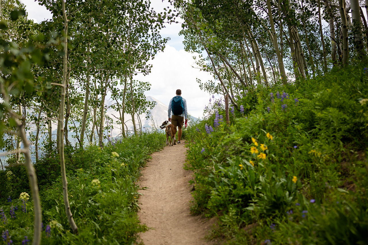 adventure instead elopement micro-wedding Snodgrass hike hiking vows scenic mountain views Crested Butte photographer Gunnison photographers Colorado photography - proposal engagement elopement wedding venue - photo by Mountain Magic Media