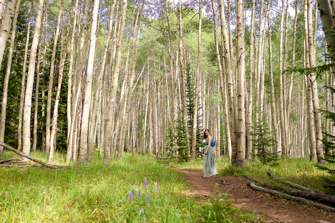 https://mountainmagicmedia.com/wp-content/uploads/2023/07/Crested-Butte-photographer-Gunnison-photographers-Colorado-photography-proposal-engagement-elopement-wedding-venue-photo-by-Mountain-Magic-Media-397.jpg