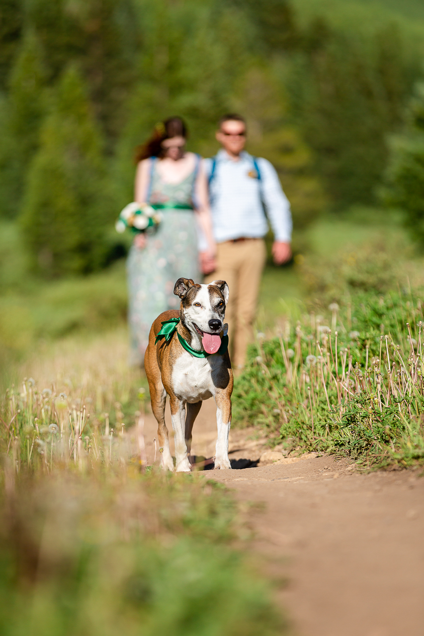 adventure instead elopement micro-wedding Snodgrass hike hiking vows scenic mountain views Crested Butte photographer Gunnison photographers Colorado photography - proposal engagement elopement wedding venue - photo by Mountain Magic Media