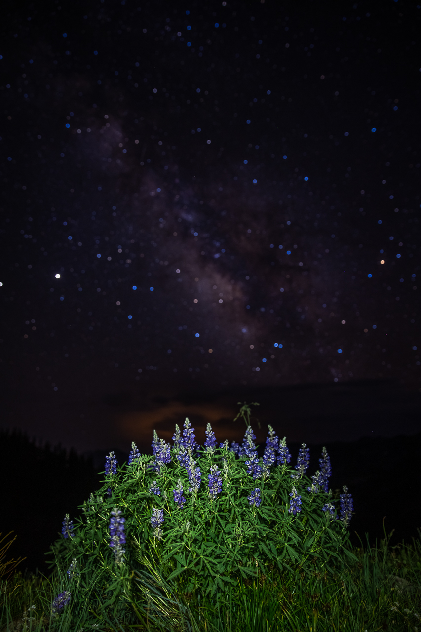 https://mountainmagicmedia.com/wp-content/uploads/2023/07/Crested-Butte-photographer-Gunnison-photographers-Colorado-photography-proposal-engagement-elopement-wedding-venue-photo-by-Mountain-Magic-Media-473.jpg