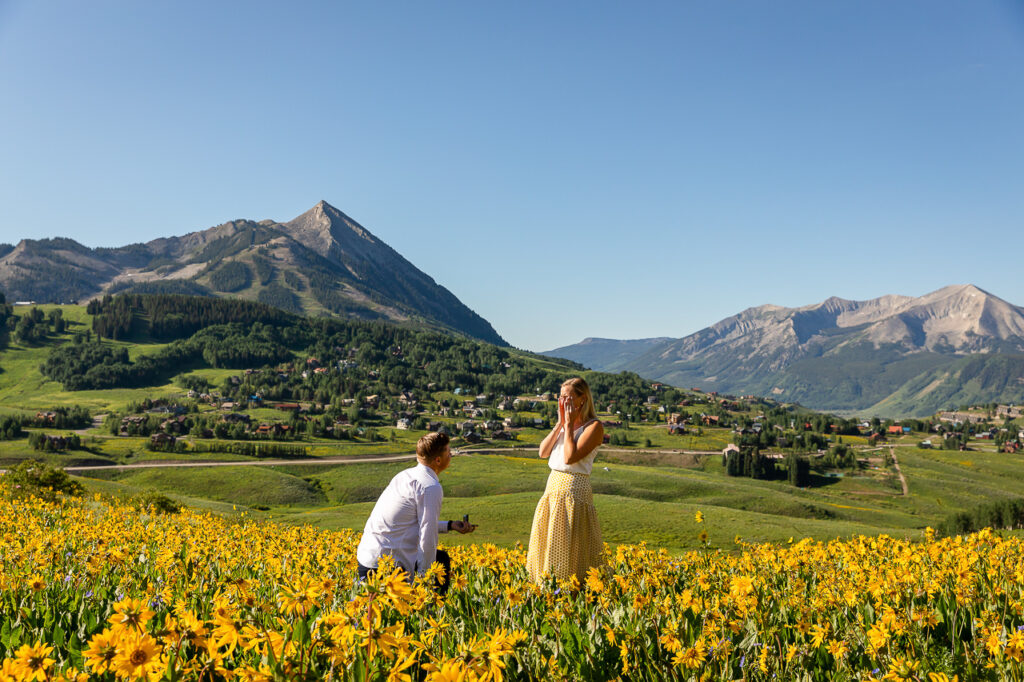 field of yellow sunflowers mountain surprise proposal wildflower capital wildflowers festival Crested Butte photographer Gunnison photographers Colorado photography proposal engagement elopement wedding venue photo by Mountain Magic Media