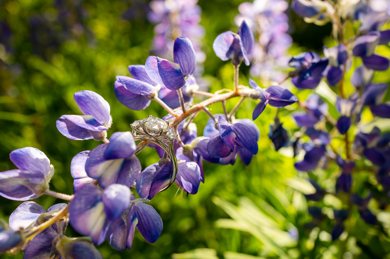 https://mountainmagicmedia.com/wp-content/uploads/2023/07/Crested-Butte-photographer-Gunnison-photographers-Colorado-photography-proposal-engagement-elopement-wedding-venue-photo-by-Mountain-Magic-Media-855.jpg