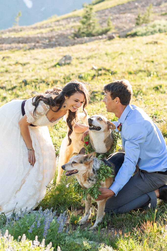 wedding day newlyweds couple smiling at dogs wearing flowers adventure elopement wildflowers high alpine lupines wildflower festival Crested Butte Colorado photographers