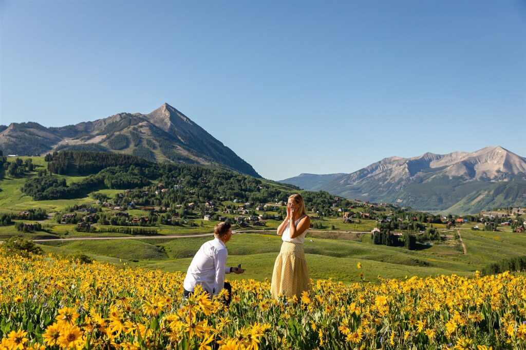 A woman covers her happy face while being proposed to in a field of wildflowers overlooking a valley
