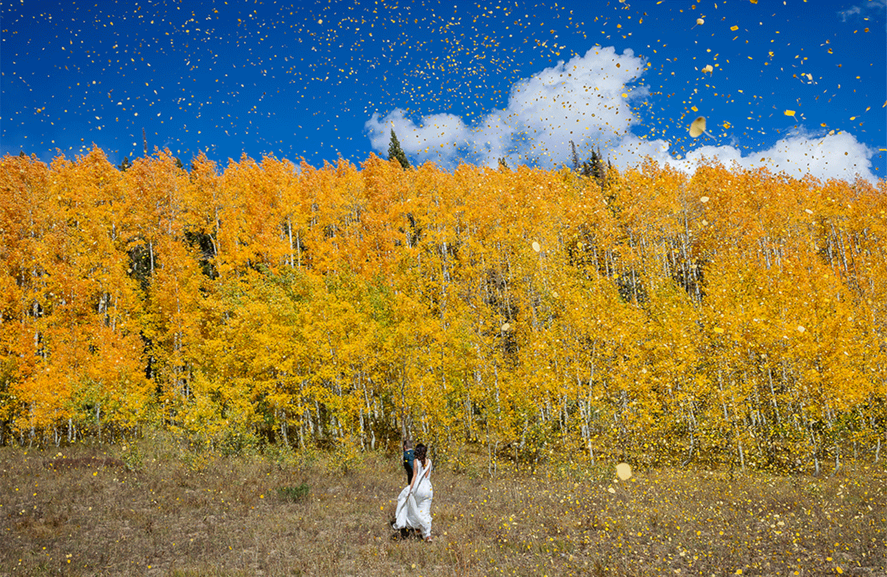 married couple walking in the fall aspen leaves in Crested Butte on their wedding day