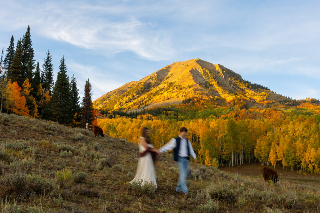 Engaged couple walking hand in hand with intentional motion blur across a golden mountain meadow below Mt. Crested Butte with cattle grazing on the hillside in Crested Butte Colorado