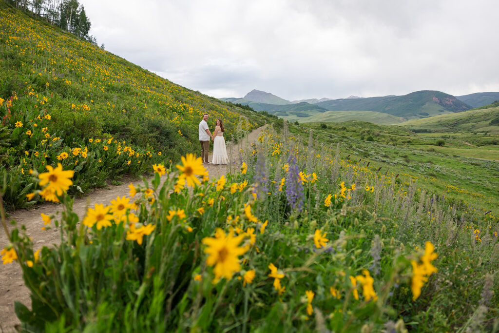 Engaged couple holding hands on a wildflower-lined dirt path near Crested Butte Colorado with yellow arrowleaf balsamroot and mountain views