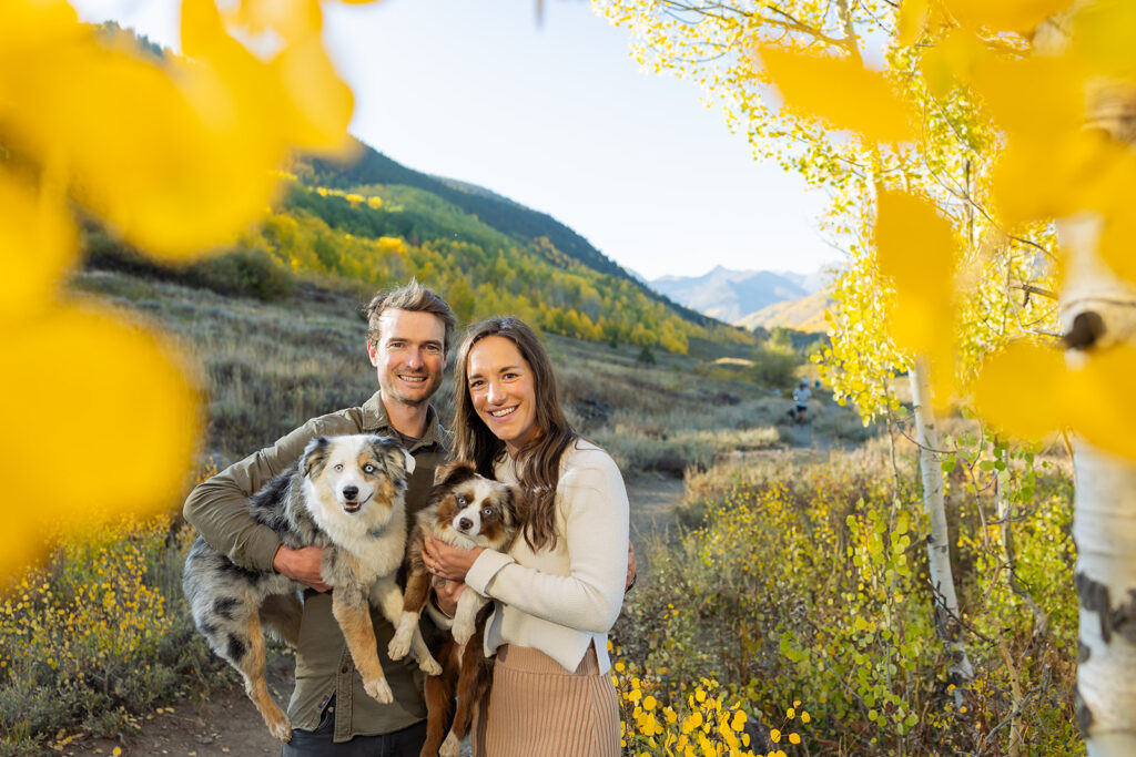 Engaged couple each holding a mini Australian shepherd framed through golden aspen bokeh with a mountain backdrop near Crested Butte Colorado